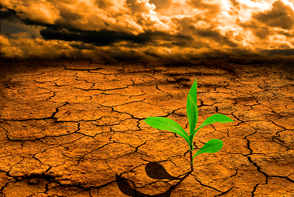 Cambio Climático